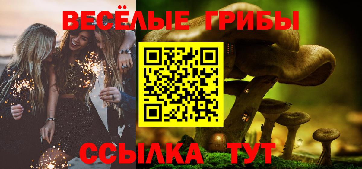 Галлюциногенные грибы прущие грибы Похвистнево